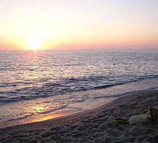 Alanya