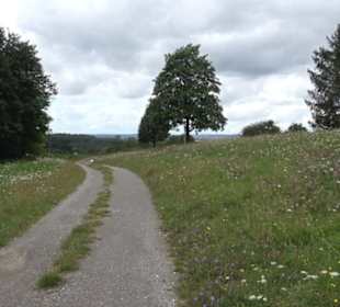 Themenweg Kaiserweg Zimmern