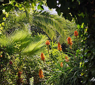 Ausflug nach ARTlandya