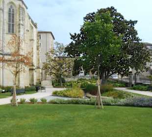 Jérôme Cuzin Centre