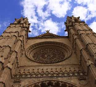 La Seu  - Rosette