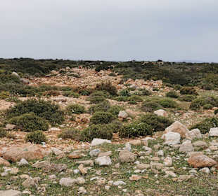 Wandern Didim