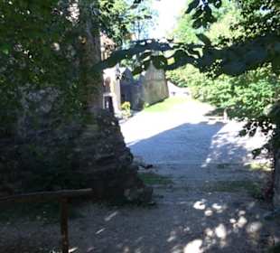 Ruine Hornstein