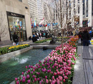 Stadtrundfahrt New York