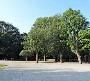 Impressionen aus dem Stadtgarten
