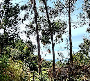 Wandern Isla del Sol