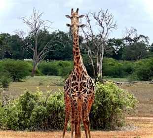 2-in-1 - Schnappschuss ^^