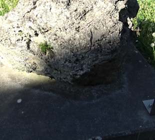 Geologischer Lehrgarten