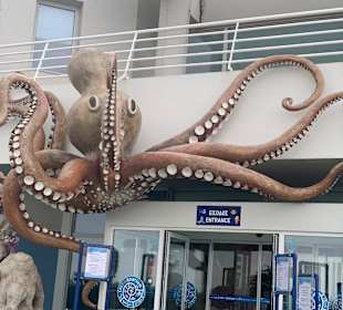 CretAquarium