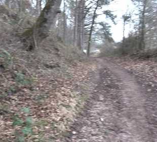 Unterjesinger Wengertwegle