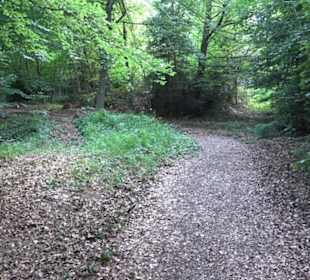 Kreuzweg zum Tannenrain