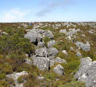 Wanderung auf denTafelberg