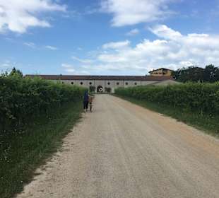 Weingut Guerrieri Rizzardi