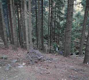 Riesengebirge/Karkonosze