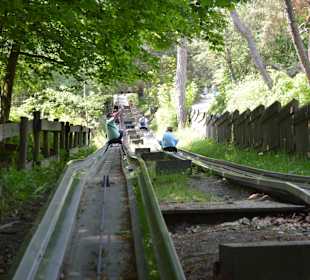 Sommerrodelbahn