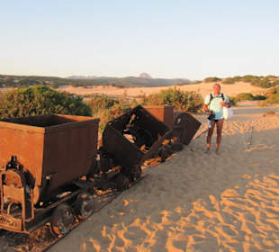 Il trenino per il trasporto
