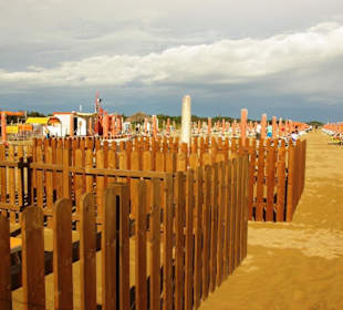 Für läufige Hündinnen