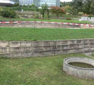 System der Pflanzen