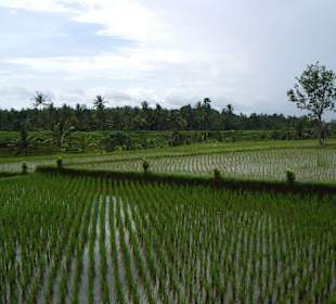 Impressionen aus Bali