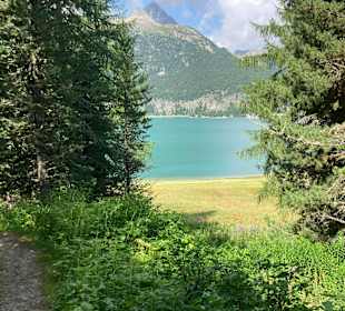 Wandern Silvaplana