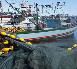 Mahdia: Fischereihafen