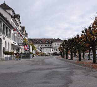 Виды города