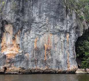 Tour & Ausflug Bayahibe