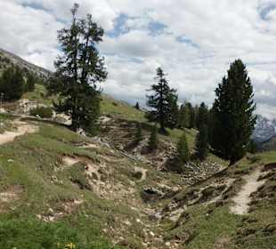 Wieder fast am Ausgangspunkt