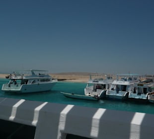 Giftun Insel Ausflug