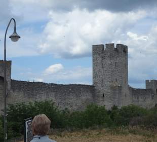 Teilabschnitt der Stadtmauer
