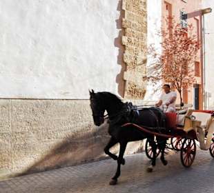 Mit Pferd und Wagen durch die Gassen der Altstadt