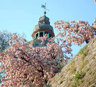 Schloss Berlebeburg Schlossgarten