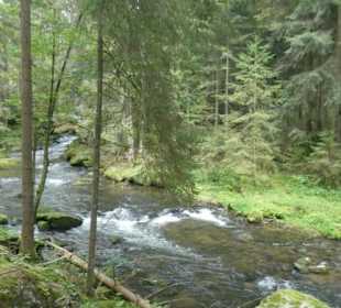 Von Bayerisch Eisenstein nach Ludwigsthal