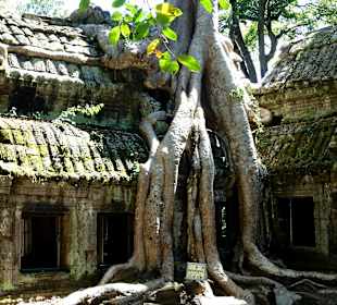 Ta Prohm