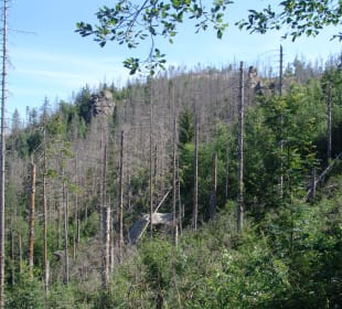 Klippen Runde Okertal Bild 6