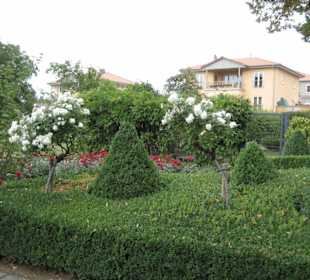 Rosengarten