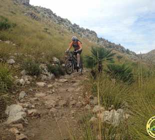 Mountainbiken im Osten Mallorcas