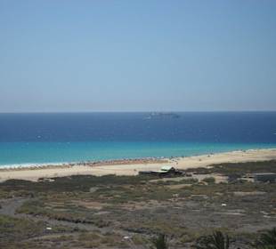 Salzwiese und Strand