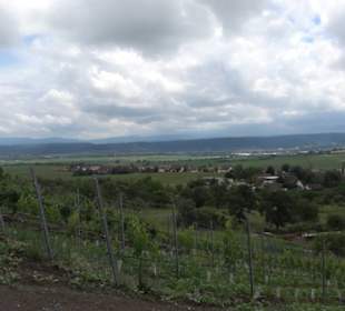 Wanderweg - Alter Steinbruch Pfaffenberg Runde