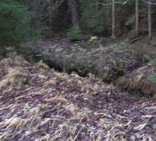 Ochsenweiher Rundweg