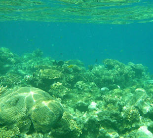 Riff linke Seite vom Arabia Azur  Resort