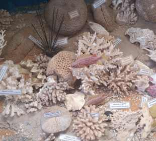 Fahrradausflug in die Wüste