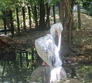 Wo ist mein Spiegel?