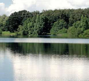 Blick über den Waller Feldmarksee