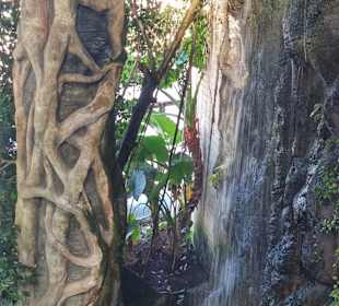 Tropenhaus Wasserfall