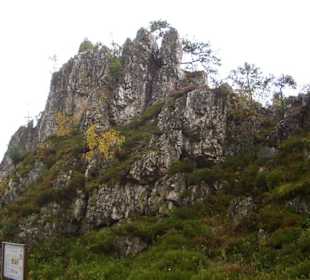 Naturschutzgebiet Großer Pfahl