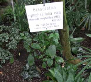Tropicarium