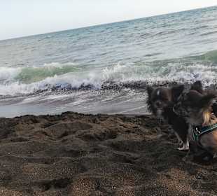 Strand Ladispoli