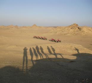 Quad-Tour