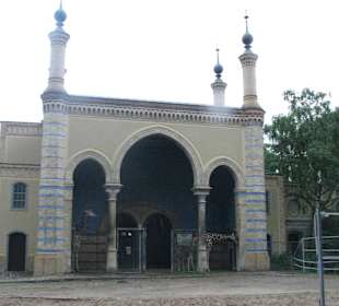 Giraffen im Giraffenhaus